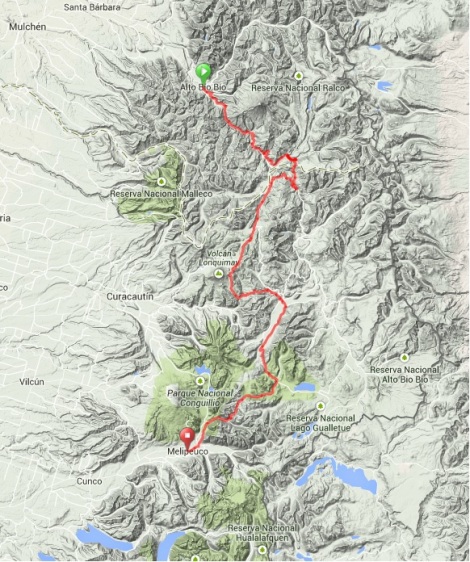 Map - Monkey Puzzle Trail